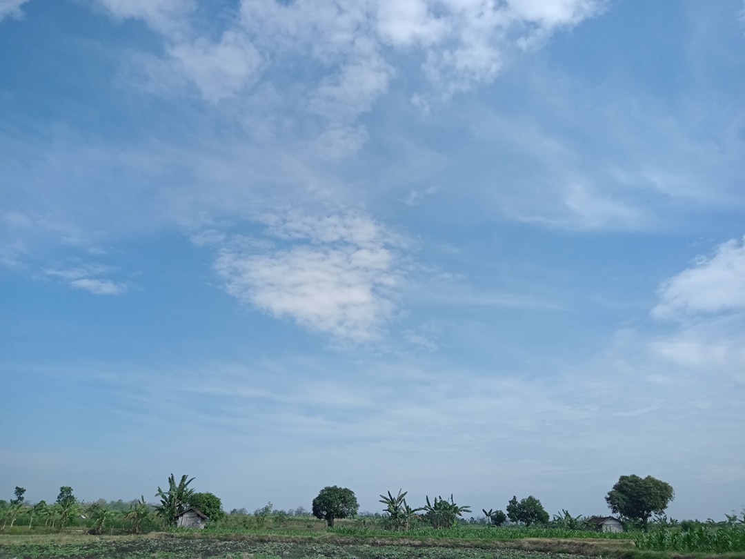 local time in gaya bihar india