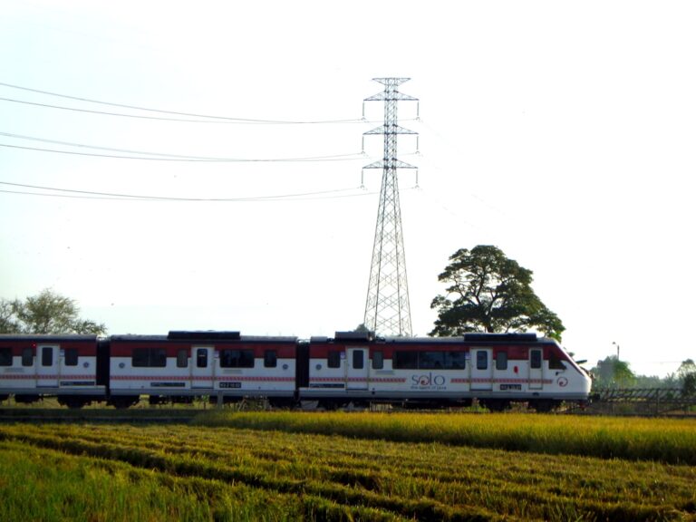 ddu to gaya local train