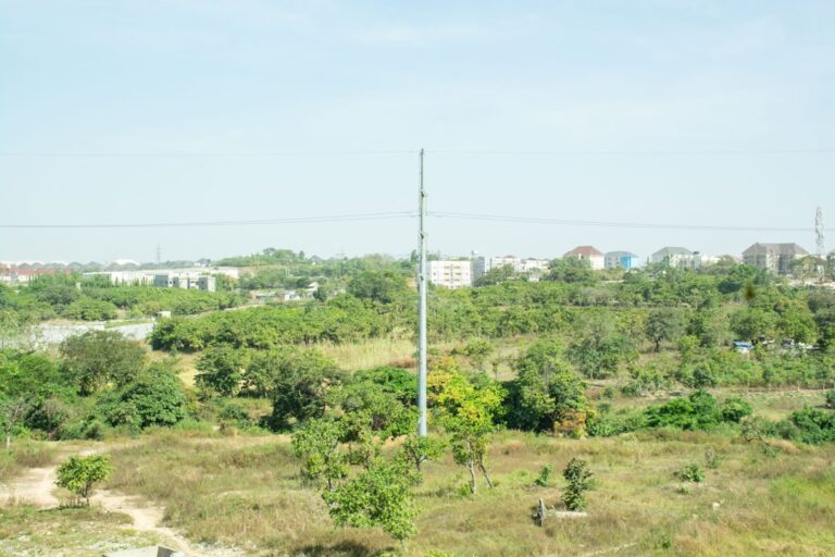 gaya local government zip code