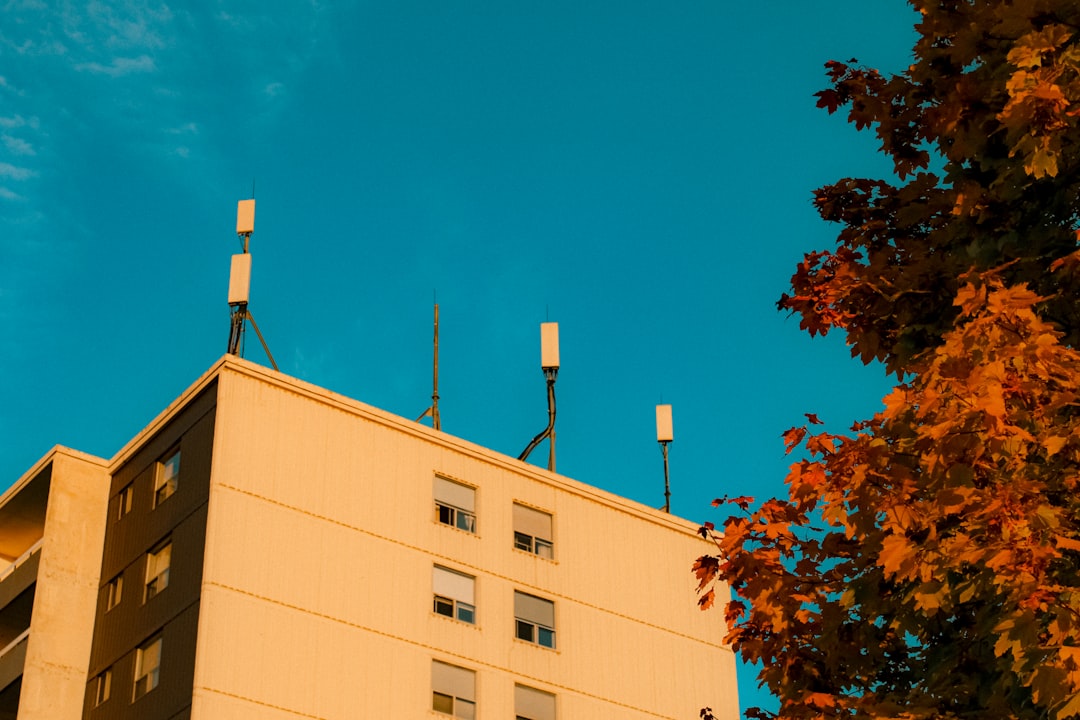 dv188 rtp